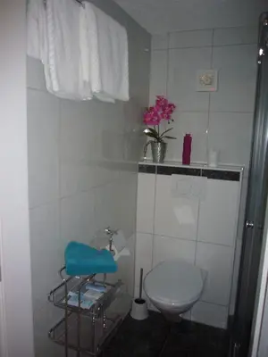 a small bathroom with a toilet and a sink at Reni's Oase am Bodensee in Kesswil