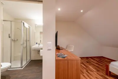 a bathroom with a sink and a toilet and a shower at Hotel Rössli in Zuzwil