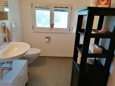 a bathroom with a white toilet and a sink at Schwellbrunn,Ferienwohnung mit Säntissicht in Schwellbrunn