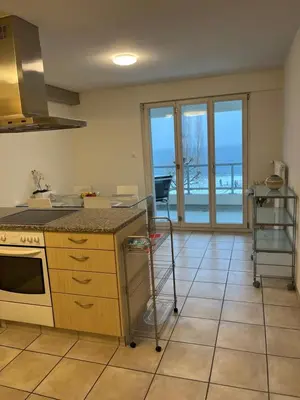 a kitchen with a view of the ocean from theinsula at Amazing lakeview flat Horn in Horn