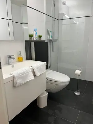 a white bathroom with a toilet and a sink at Amazing lakeview flat Horn in Horn