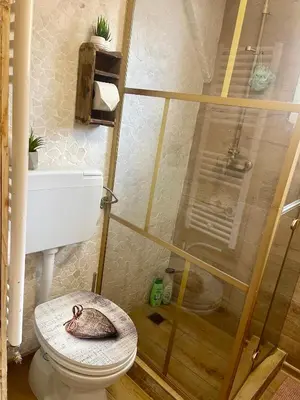 a bathroom with a toilet with a spider on the seat at Private Room in an old Farmhouse near Vaduz in Sevelen