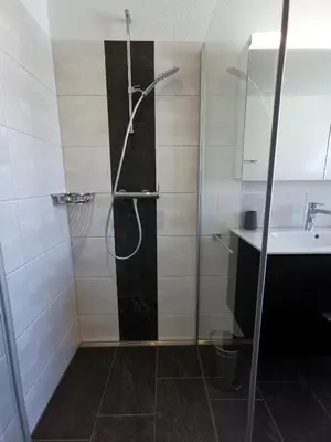 a bathroom with a shower and a sink at Ferienwohnung Hirschen in Gossau