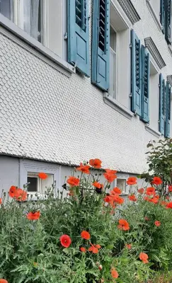 a bunch of red flowers in front of a building with blue shutters at Ferienwohnung Florida in Stein